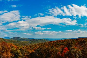 Start a Credit Repair Business in Virginia